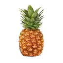 Perlas Explosivas de Piña Colada